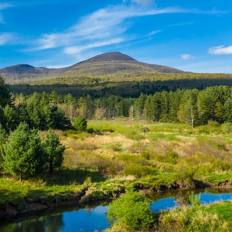 On 7 acres of land, the Beaverkill stream provides you with a natural dipping pool