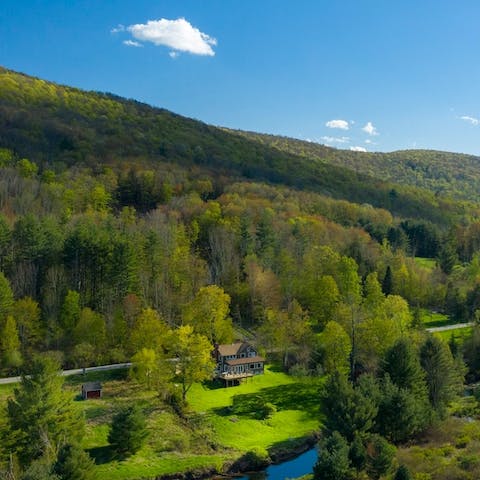 Enjoy exclusive views of the surrounding willows that are in a protected area