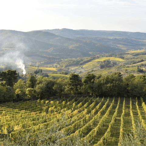 Fall in love with the natural beauty of Italy from Chianti