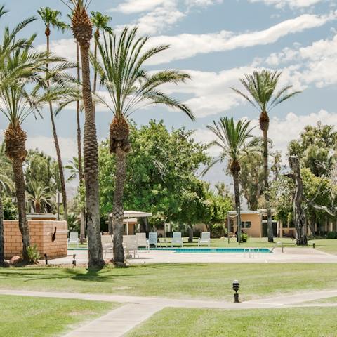 Wander through the shared garden