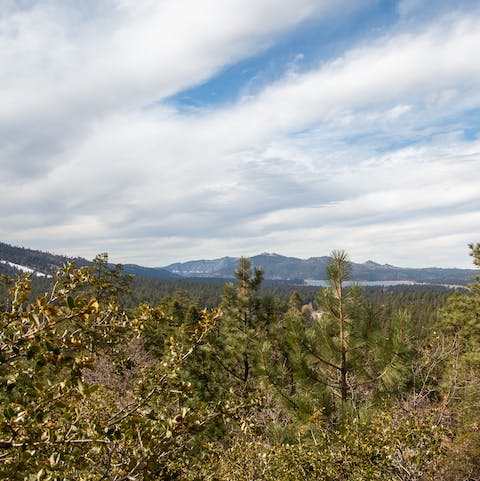 Enjoy incredible views from every window