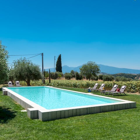 Swim in the shade of olive trees in your private pool