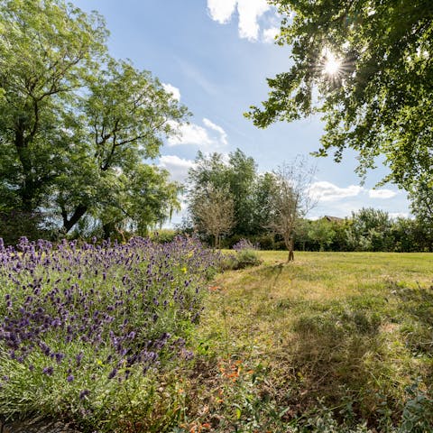Wander the beautiful gardens complete with the old mill pond and fruit trees