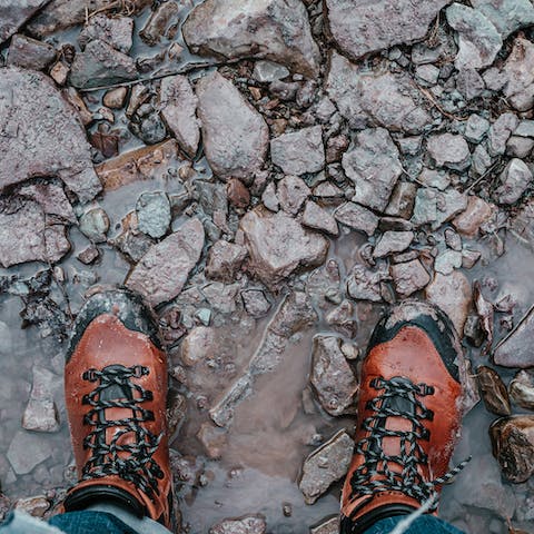 Pack your walking boots and plan a day trip to the North York Moors