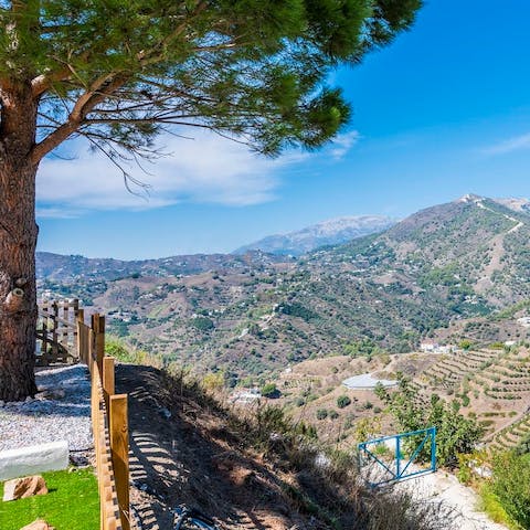 Be mesmerised by the majesty of the Almijara mountain range