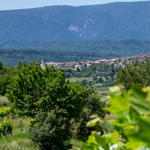 Enjoy sweeping views of the Provençal countryside