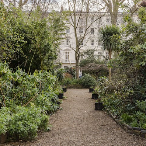 Enjoy an afternoon of quiet reading in the beautiful Eccleston Square residents' garden