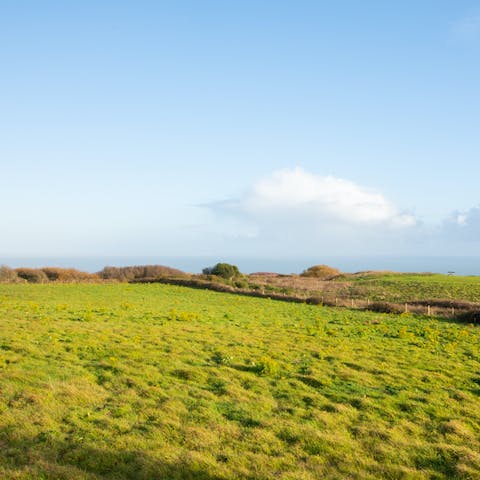 Explore the wild and stunning nature of Hastings Country Park on your doorstep
