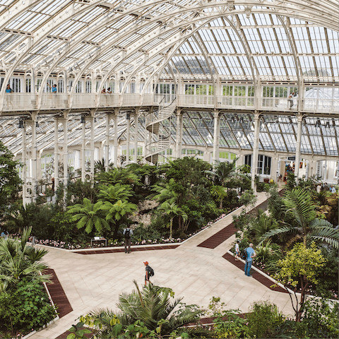 Admire botanical gems at Kew Gardens, a seven-minute walk away