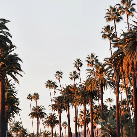 Experience the lightness and ease of California living from Beverlywood
