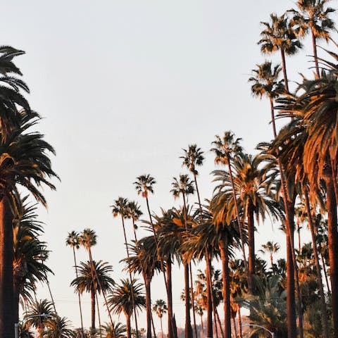 Experience the lightness and ease of California living from Beverlywood