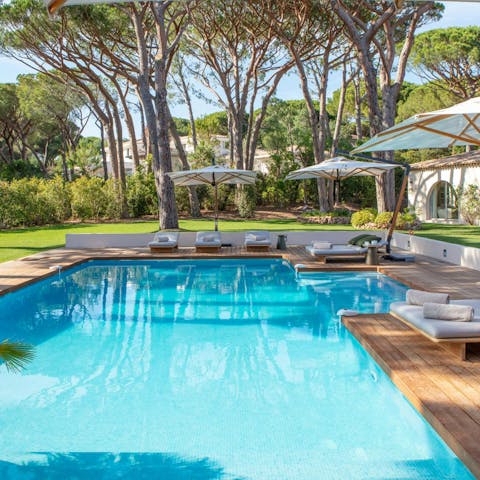 Lounge by the resort-style pool surrounded by pines