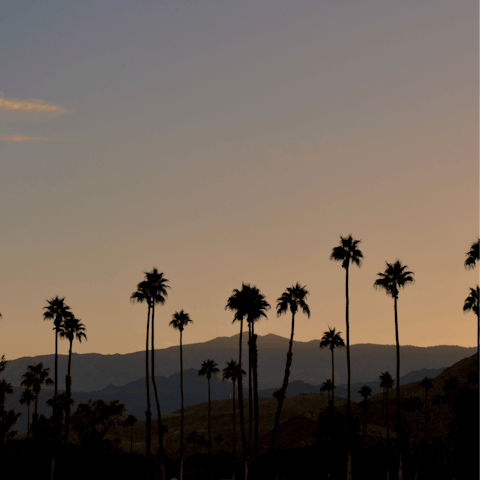 Enjoy the breathtaking desert sunsets Palm Springs is so famous for
