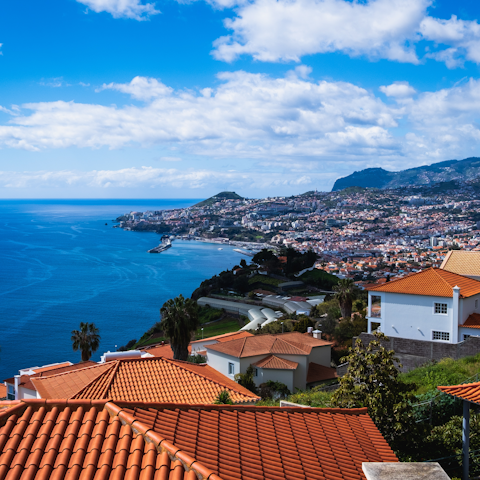 Explore Madeira from this central location in Funchal