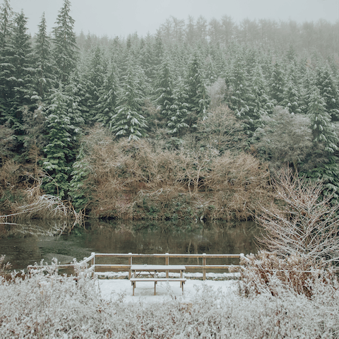 Discover the pretty market town of Pickering, home to castles steeped in history and gentle woodland trails