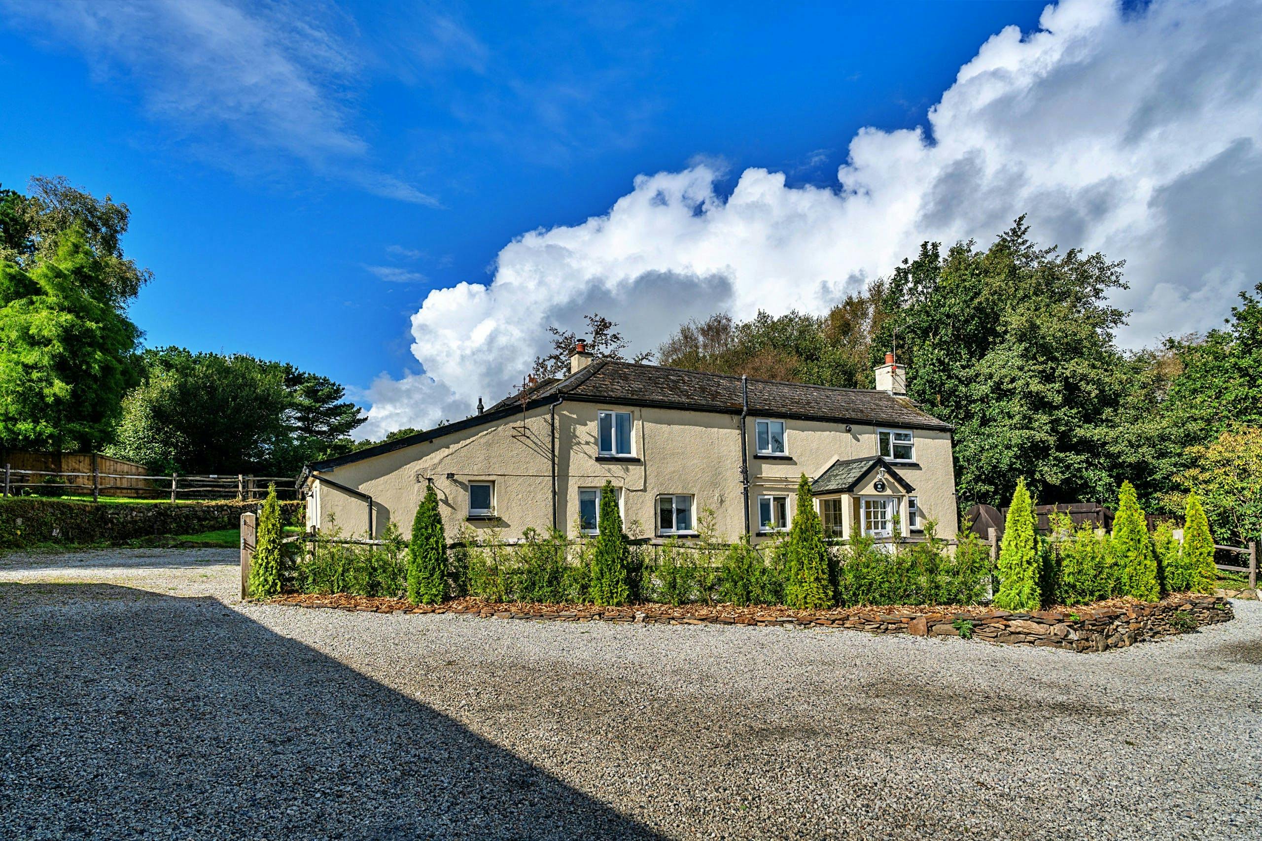 Back to the Countryside