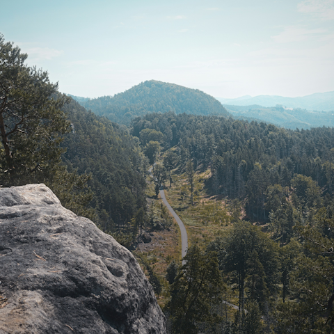 Pull on your walking boots and join local river walks and hiking trails