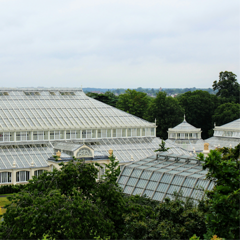 Visit the famous Kew Gardens, a short bus ride away