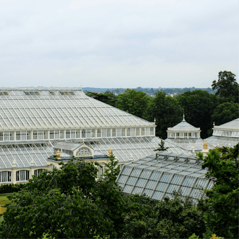 Visit the famous Kew Gardens, a short bus ride away
