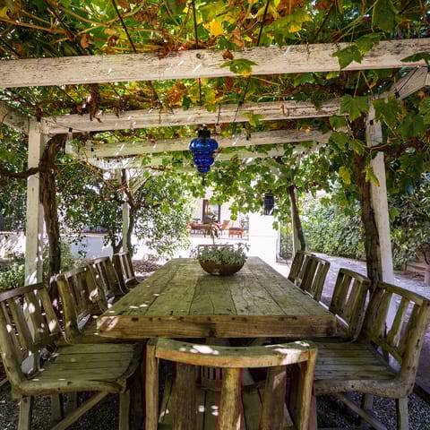 Dine alfresco under the leafy pergola