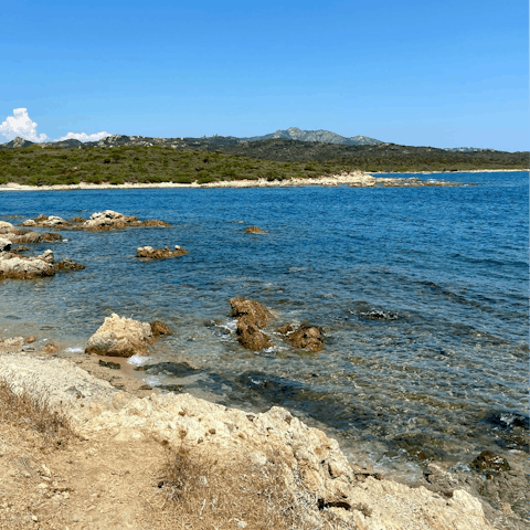 Watch for dolphins at the coastline of Olbia