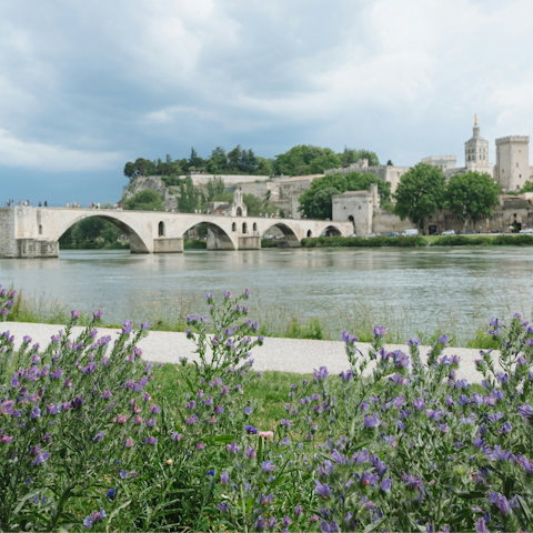 Take a day trip to Avignon and enjoy a picnic by the Rhône