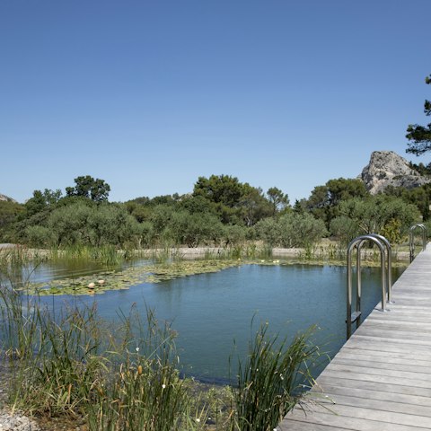 Cool off with an revitalising dip in the natural pool