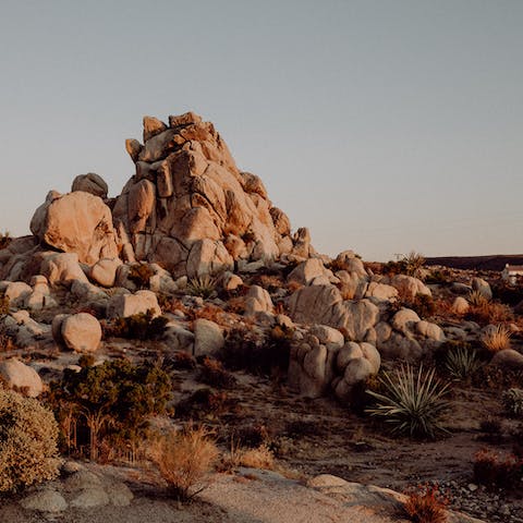 Discover the majestic beauty of Yucca Valley