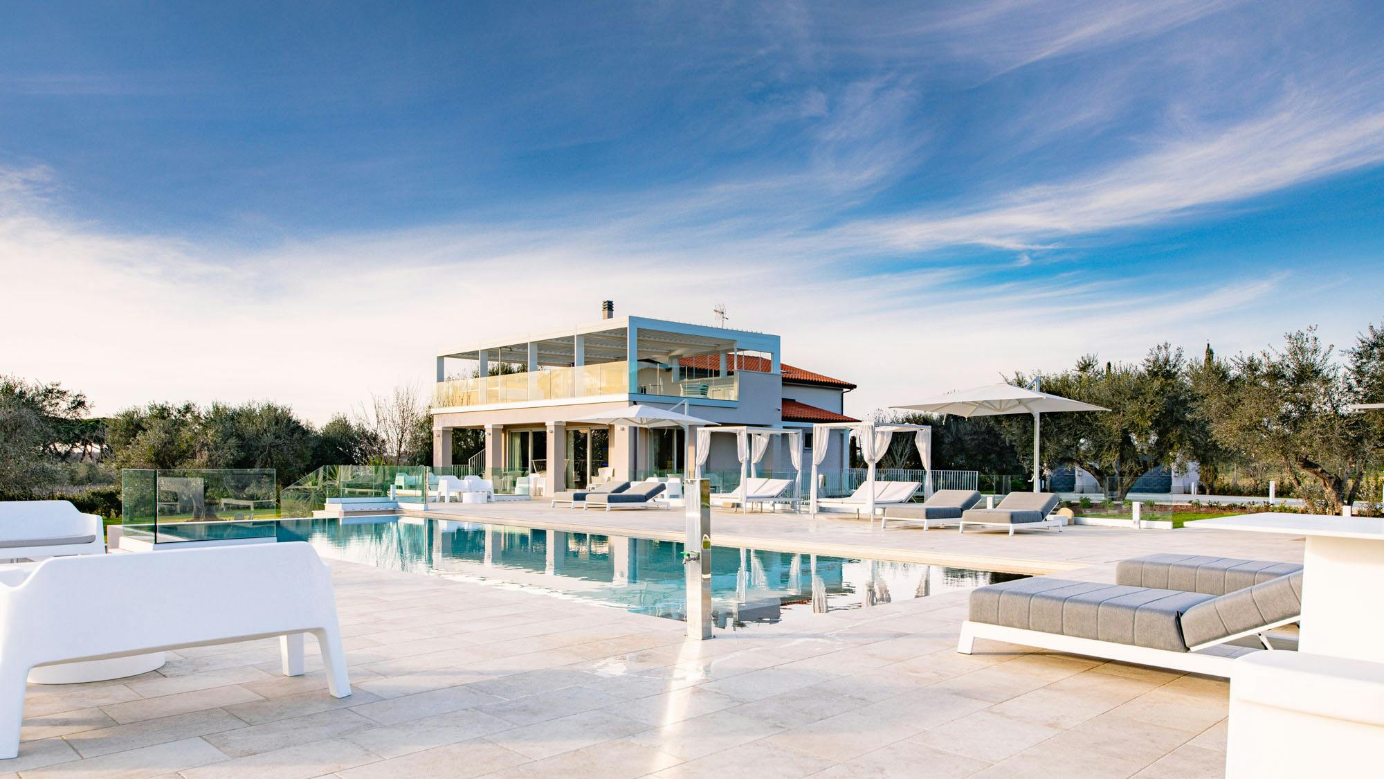 Among the Olive Trees