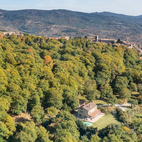 Be surrounded by a 3-hectare park of old oaks and chestnut trees