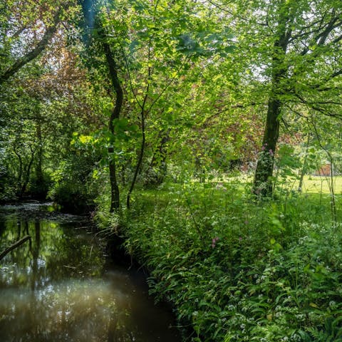 Discover the river at the bottom of the garden