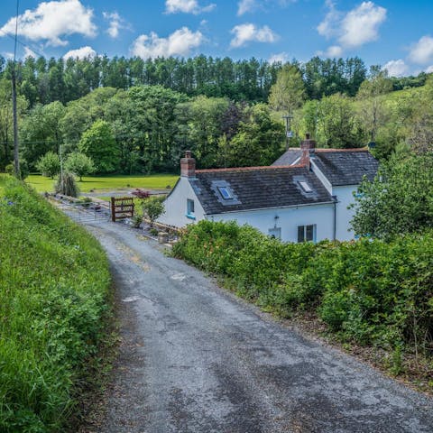 Stay amidst 4 acres of stunning green scenery