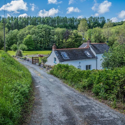 Stay amidst 4 acres of stunning green scenery
