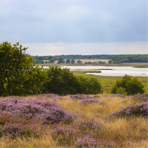 Make the most of the rural location and explore the Suffolk countryside