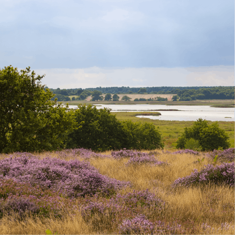 Make the most of the rural location and explore the Suffolk countryside