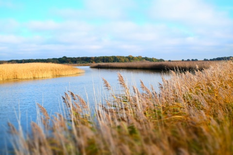 Visit Snape Maltings, a thirty-minute drive away