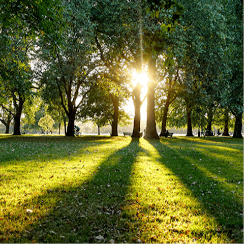 Pack a picnic for a sunshine-filled afternoon in nearby Hyde Park