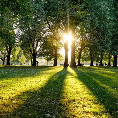 Pack a picnic for a sunshine-filled afternoon in nearby Hyde Park