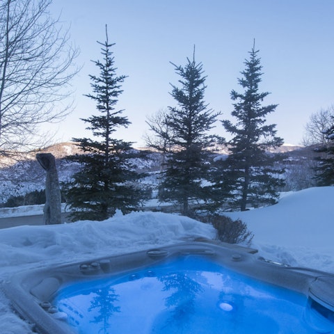 Relax surrounded by nature in the private hot tub