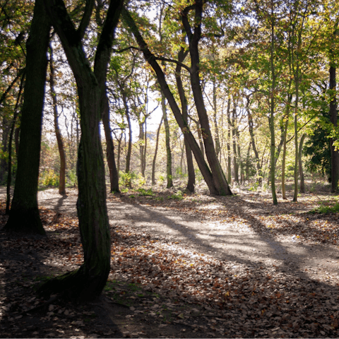 Rent bikes and explore the Bois de Boulogne – you're not far from the popular park