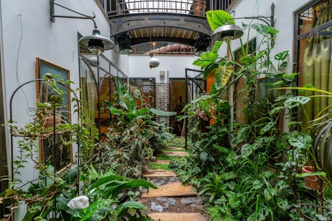 Lose yourself in a lush indoor garden at the heart of the home