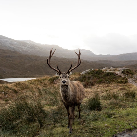 Meet some of the local wildlife