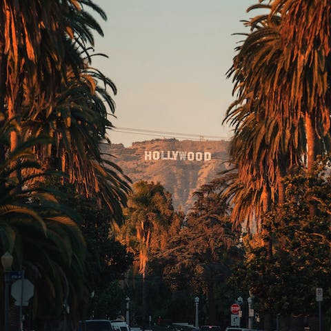 Stay in the Hollywood Hills – your home is just a five-minute drive from Hollywood Boulevard