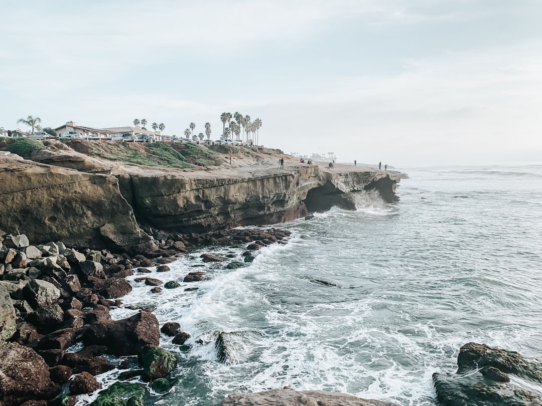 Cliff's Edge Reverie