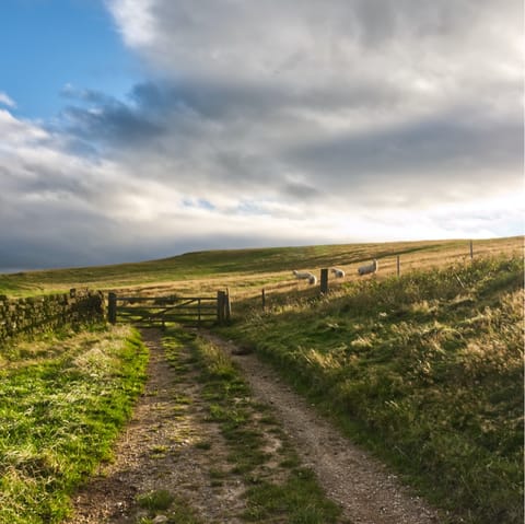 Pull on your hiking boots and explore the North York Moors National Park, a short drive away