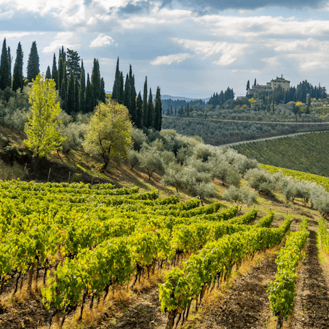 Visit the vineyards of Chianti – you won't have to drive far