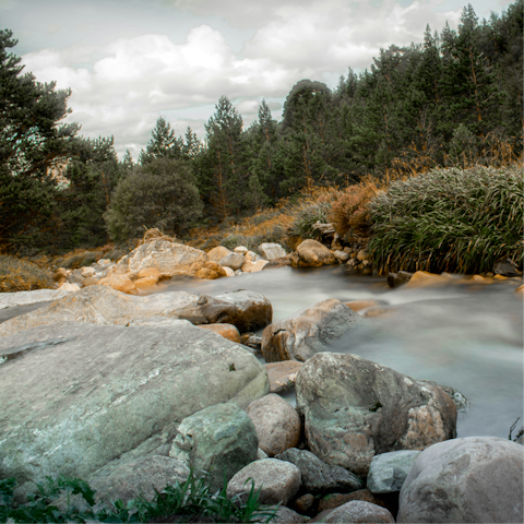 Join a local hiking trail along the River Tay