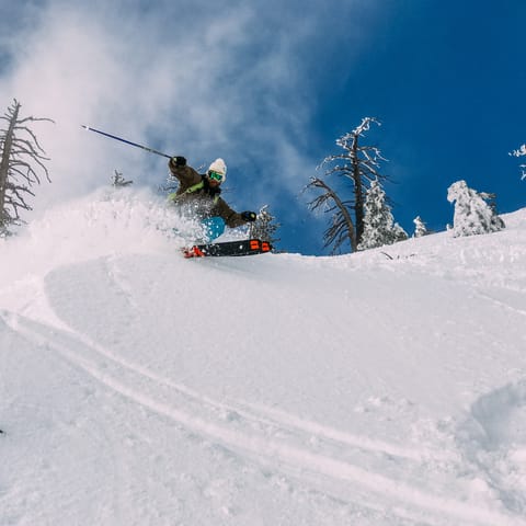 Make the short 35 yard journey from your door to Telluride's ski slopes