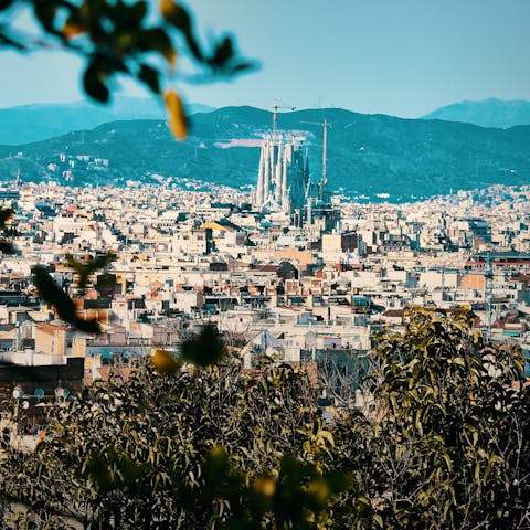 Stay in La Barceloneta, just a twenty-minute walk from Barcelona's Gothic Quarter