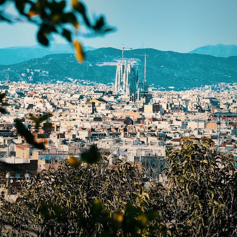 Stay in La Barceloneta, just a twenty-minute walk from Barcelona's Gothic Quarter